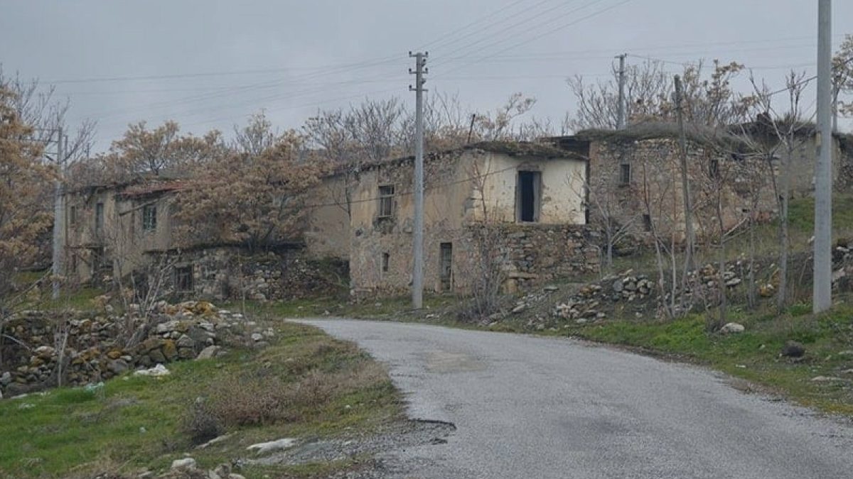 Türkiye'de üç köyde hayat tek kişiyle sürüyor