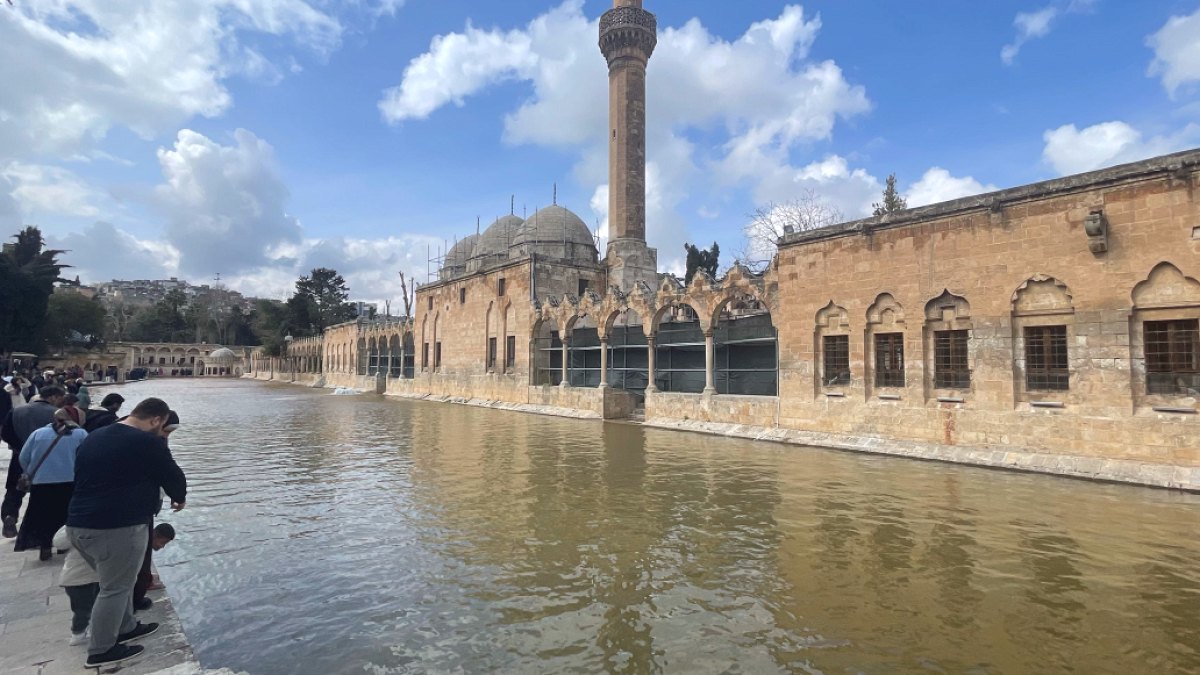 Şanlıurfa'da sağanak! Balıklıgöl'ün suyu çamura döndü