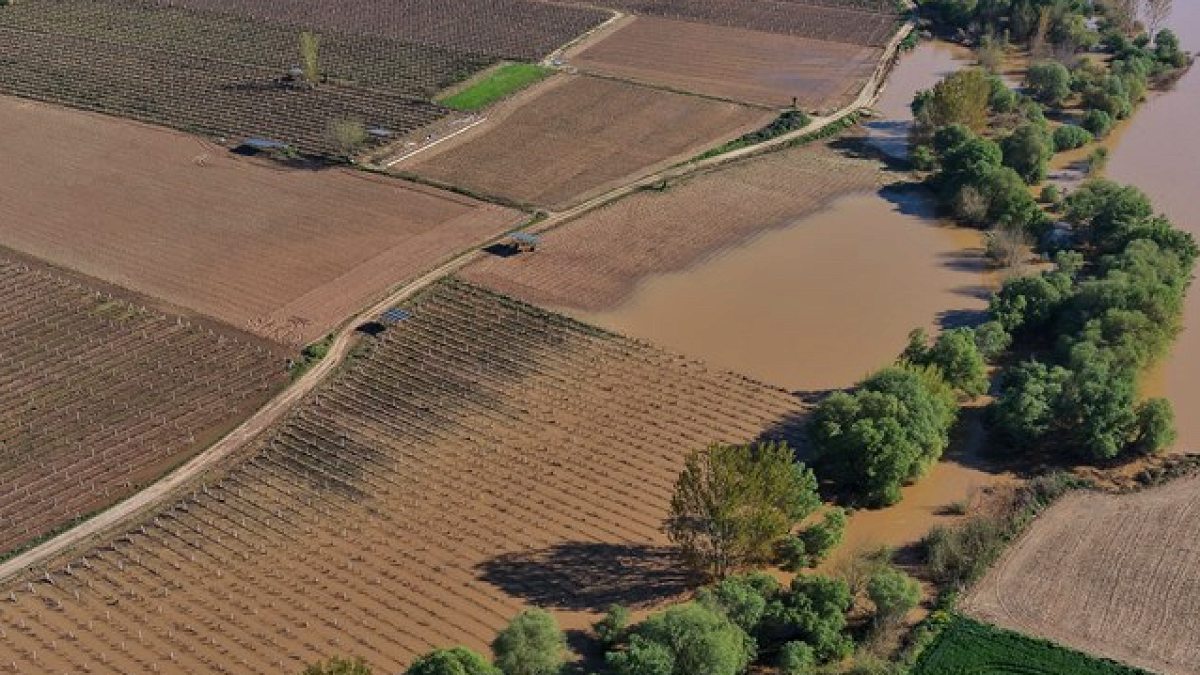 Manisa'da Gediz Nehri taştı: Üzüm bağları ve tarım arazileri su altında kaldı