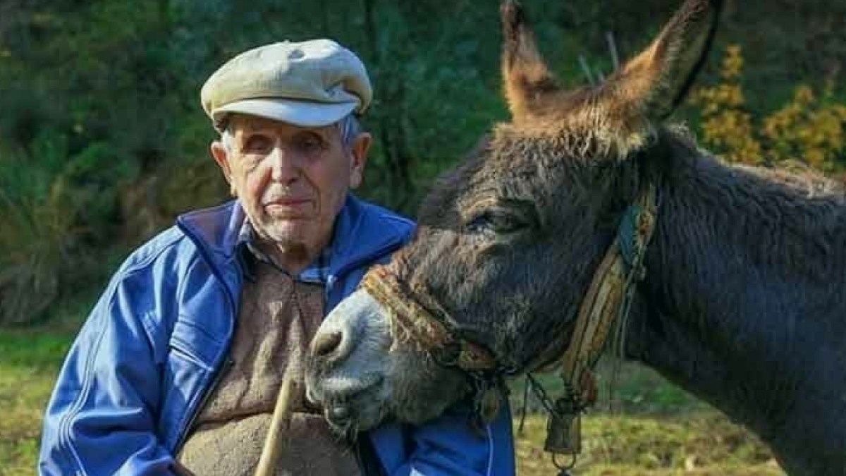 Görme engelli Raif Kurt'un pusulası 'Magare'