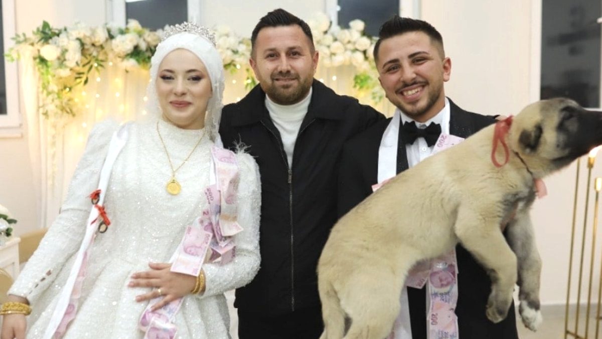 Gelin ve damadı şaşırtan hediye: Takı yerine kangal