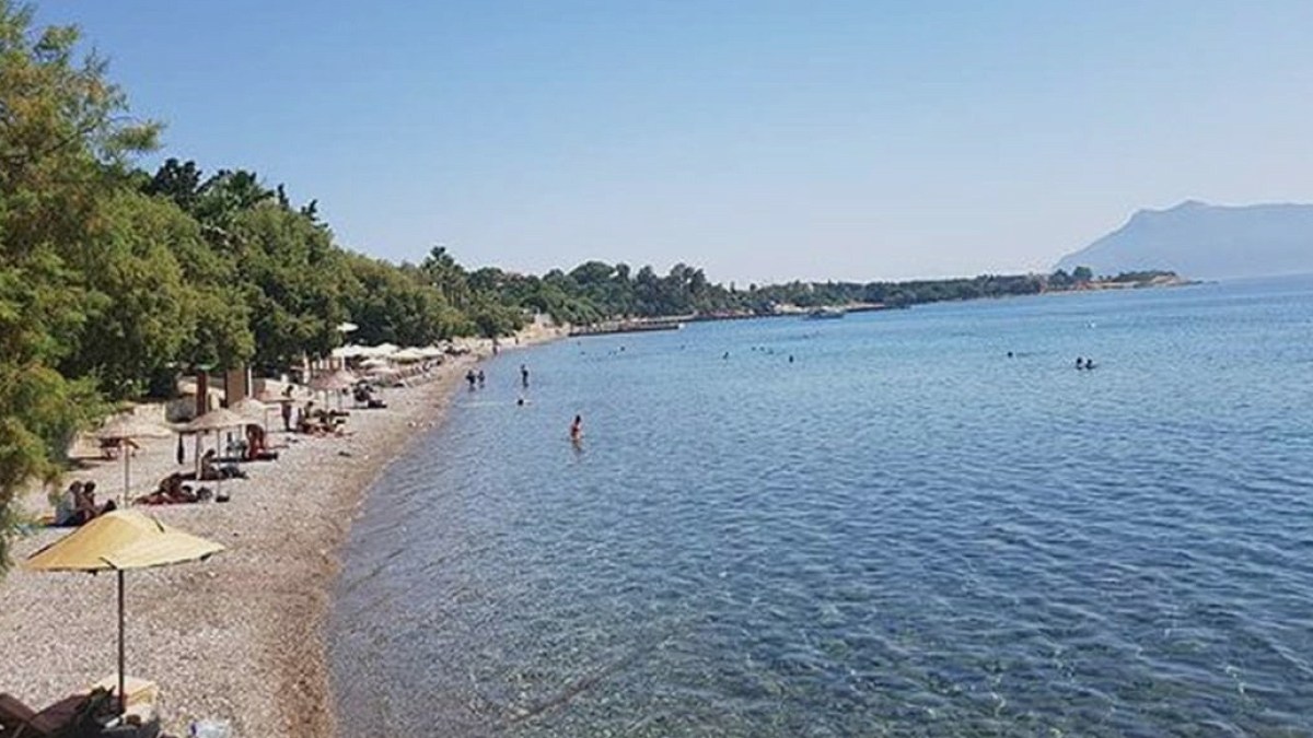 Son kupon araziler satışta