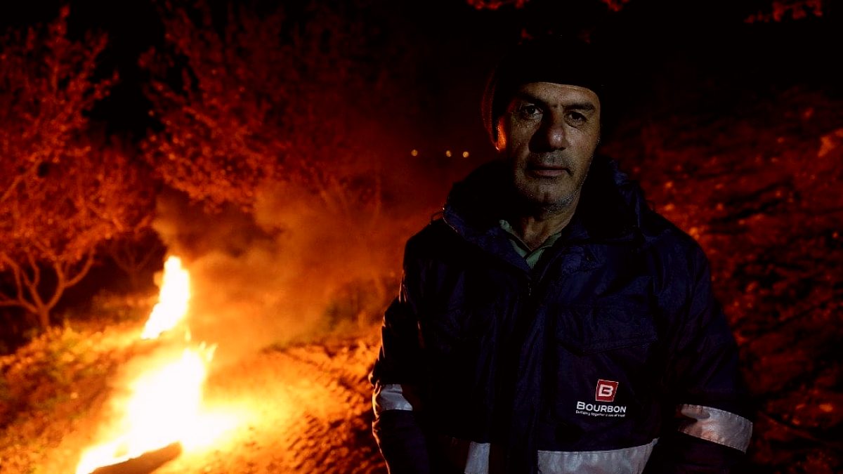 Servet değerindeki mahsulü korumak için tarlada gece gündüz nöbet tuttular