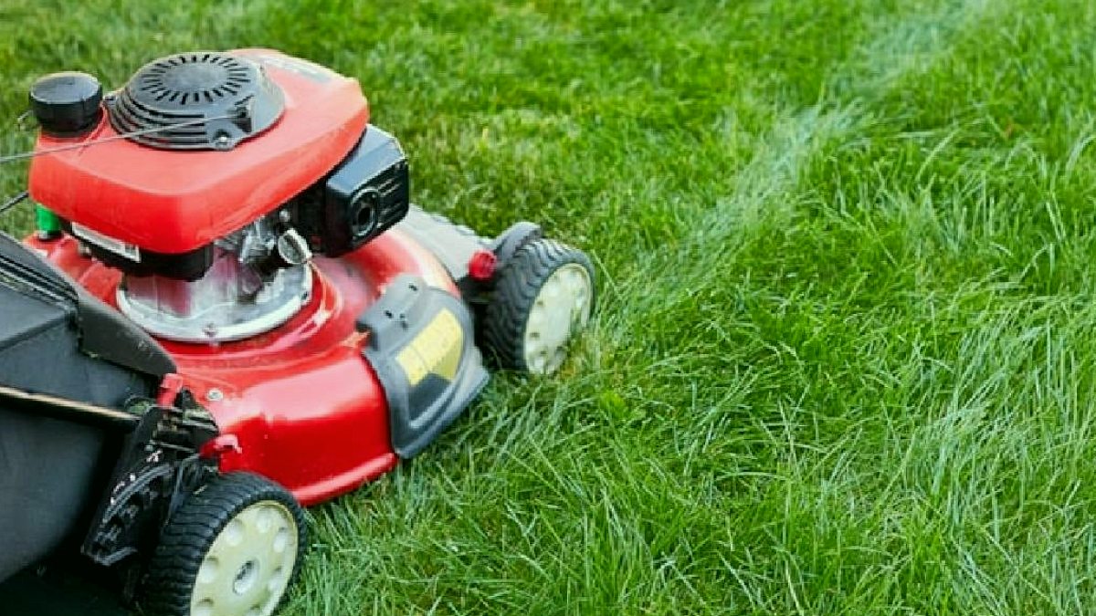 Çim biçerken külçe külçe altın buldu: Tam 2 milyon değerinde