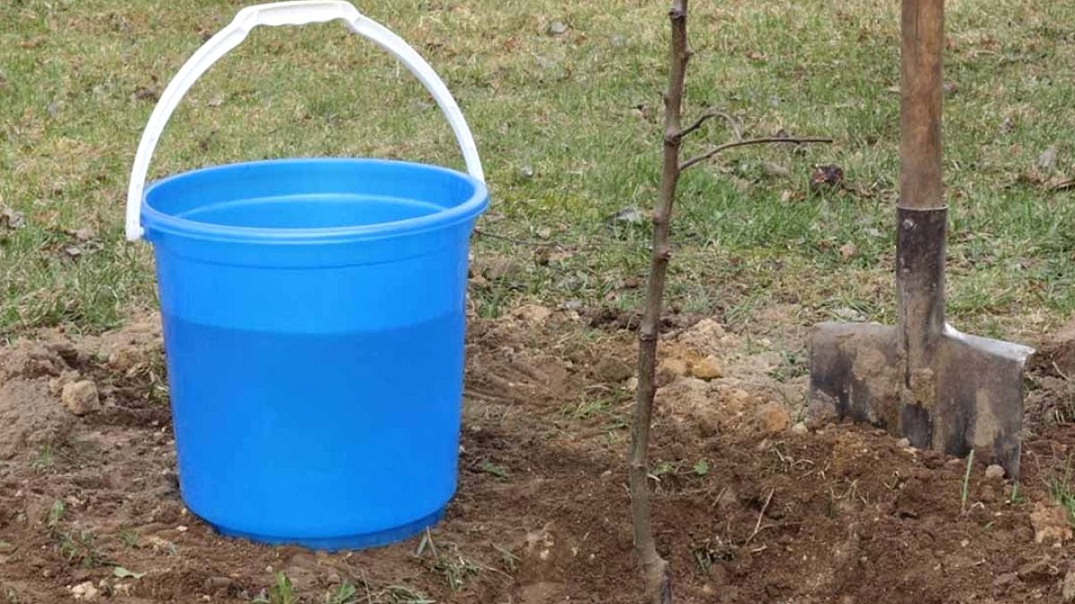 Bahçeye kova koyanın kapısına polis dayanıyor