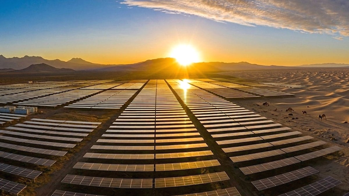 Çölün ortasına koydukları dev güneş panelleri çölü 'istila' etti