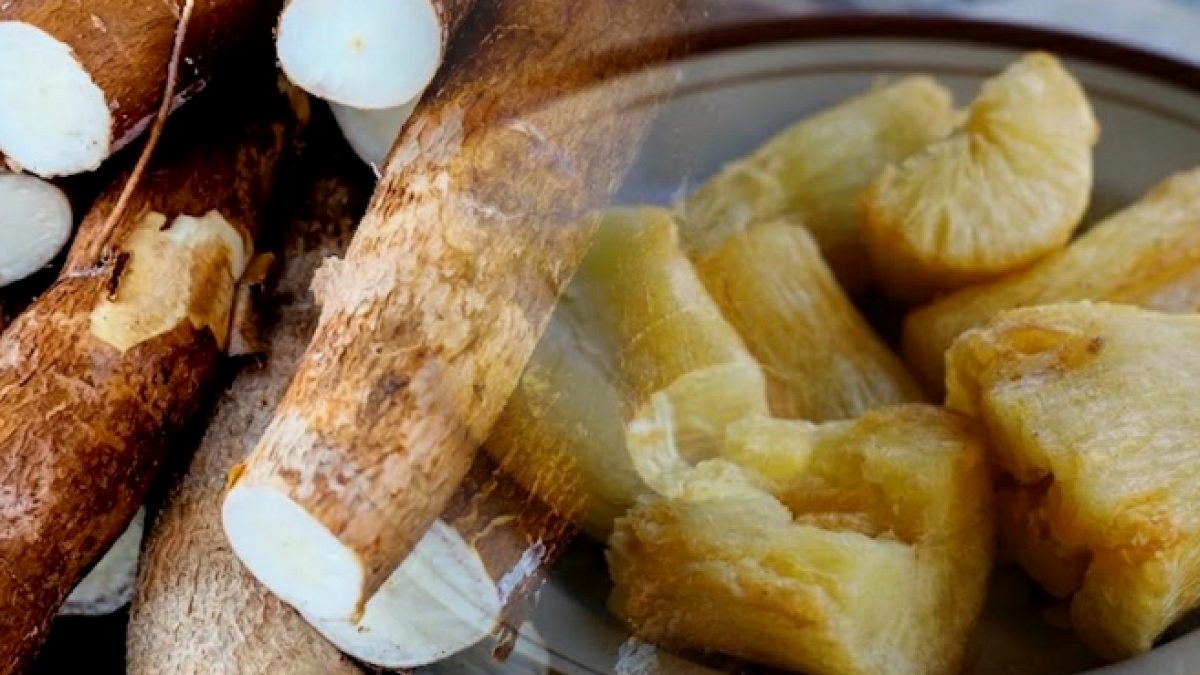 500 milyondan fazla kişi ekmek yerine bunu yiyor: Çiğ yiyene zehir oluyor