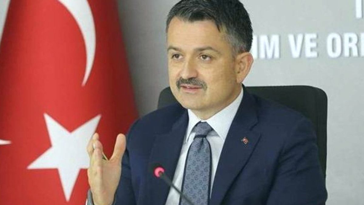 AKP’li eski Tarım Bakanı Pakdemirli BİM’e atandı