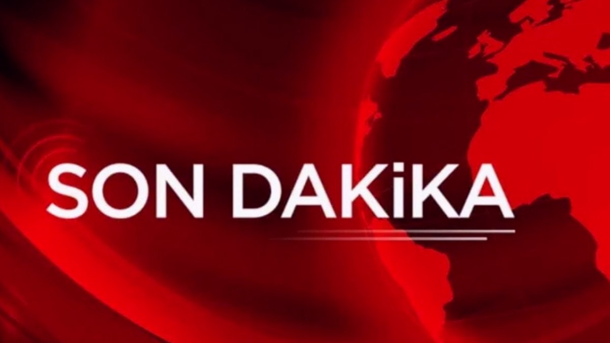 İstanbul Beykoz'da orman yangını