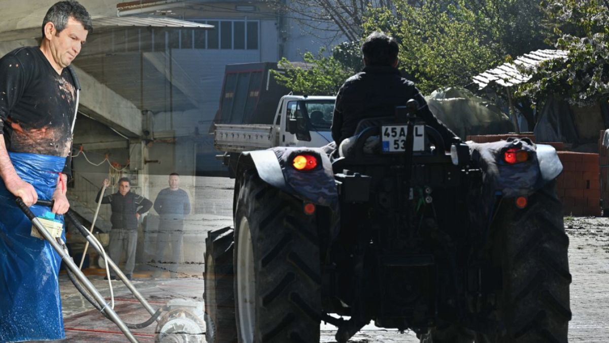 Üzerinden araba geçince değeri katlanıyor: 5 ülke almak için sıraya girdi