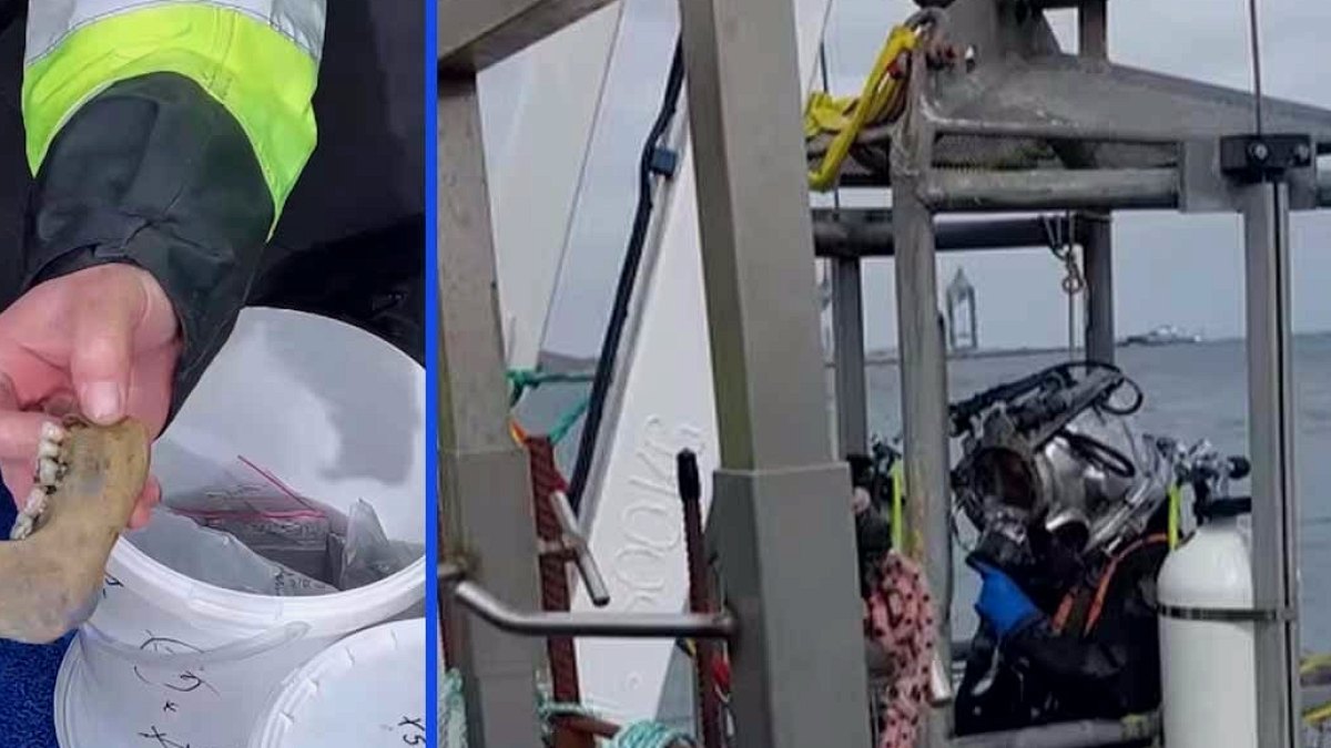 İnşaat kazısı 225 yıllık yasağı deldi: Bir çift ayakkabı tarihi yeniden yazdıracak