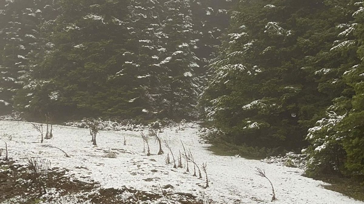 Bolu'nun yüksek kesimlerine kar yağdı