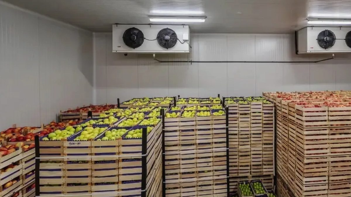 Gıda devi iflas etti: Yerel marketlerin vazgeçilmeziydi
