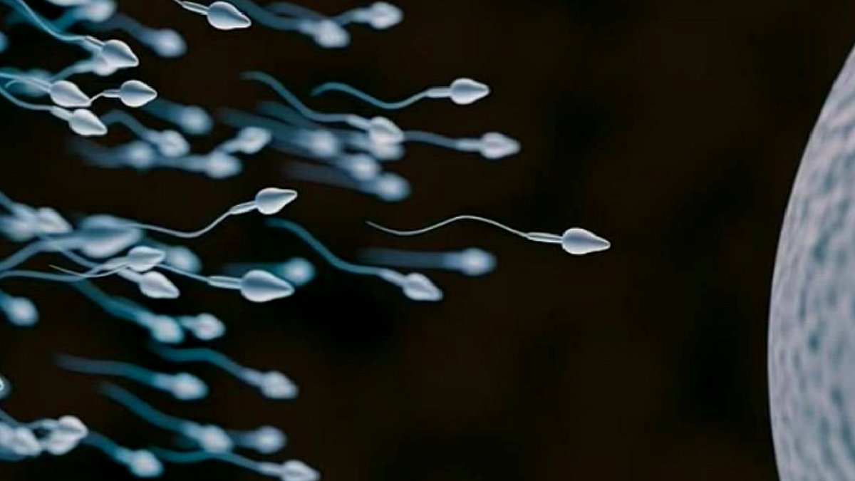 Dünyada ilk kez sperm yarışı yapılacak: Ödülü tam 4,5 milyon TL
