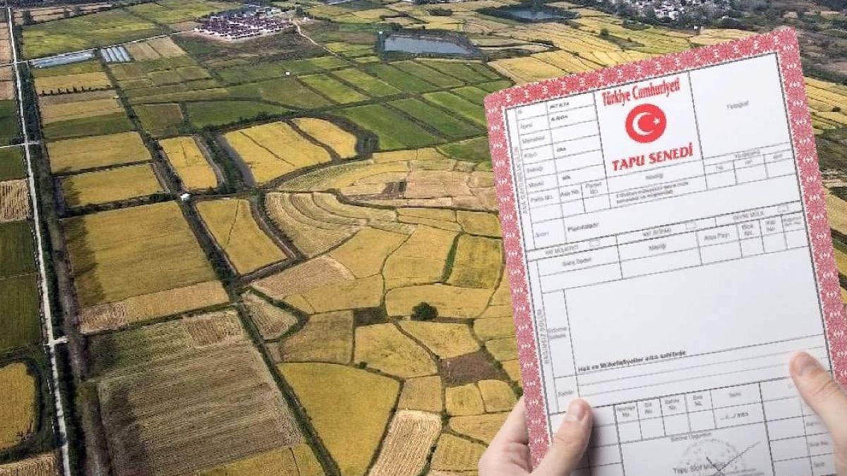 Kimsenin yüzüne bakmadığı o arsalar servet kazandıracak