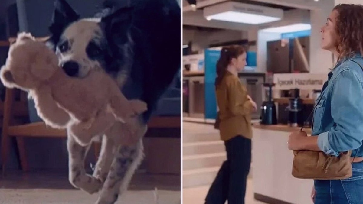 Bosch'un 'Anneler Günü' reklamı tartışma yarattı; inceleme başlatıldı
