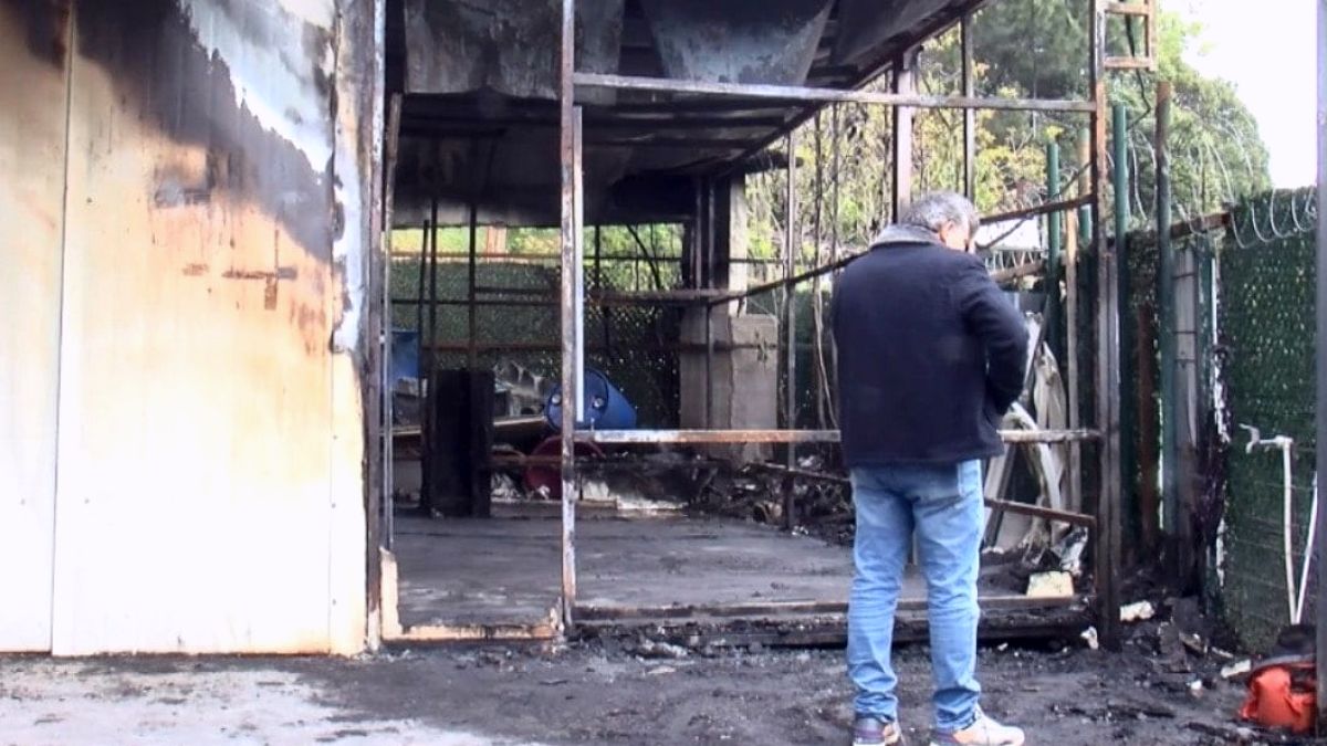 Kurbanlıkların atıldığı iş yerinde sır ölüm! Bekçi gözaltına alındı