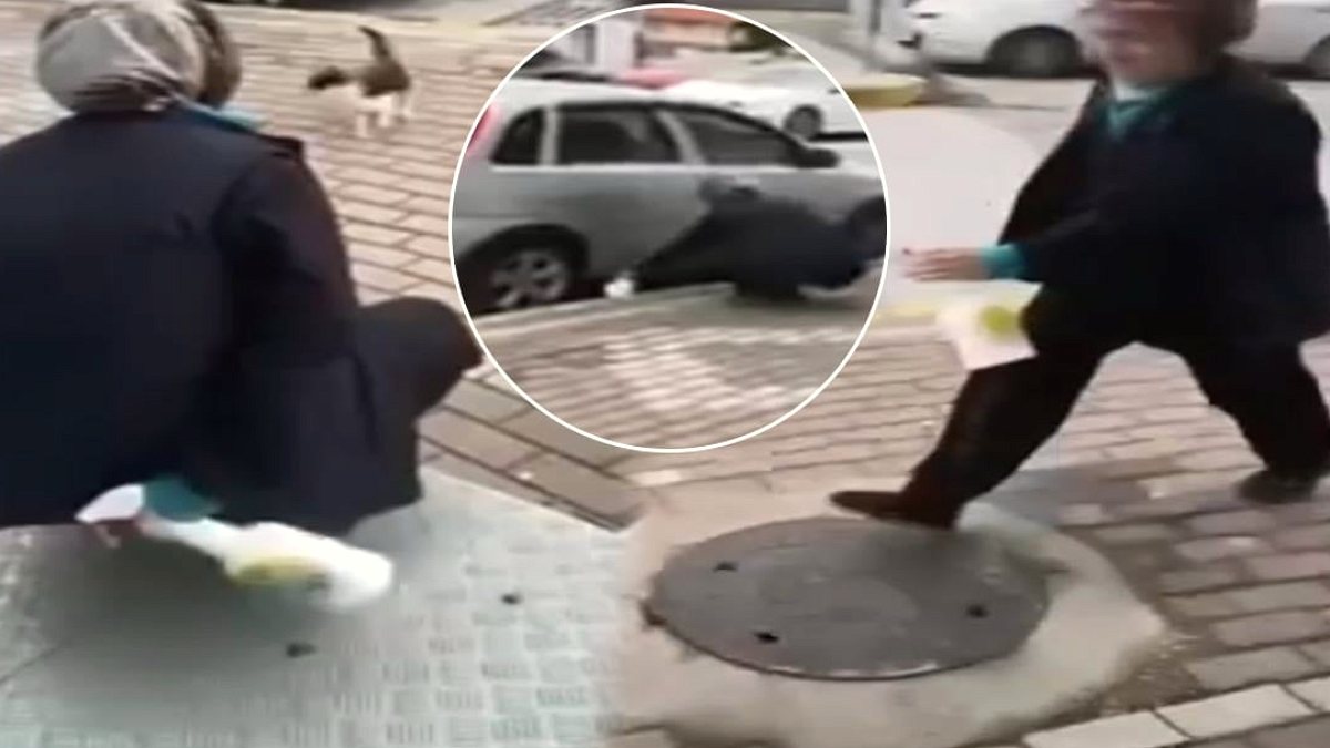 Sokak kedisine yaptığı eziyeti paylaşan vicdansız çalıştığı zincir marketten kovuldu