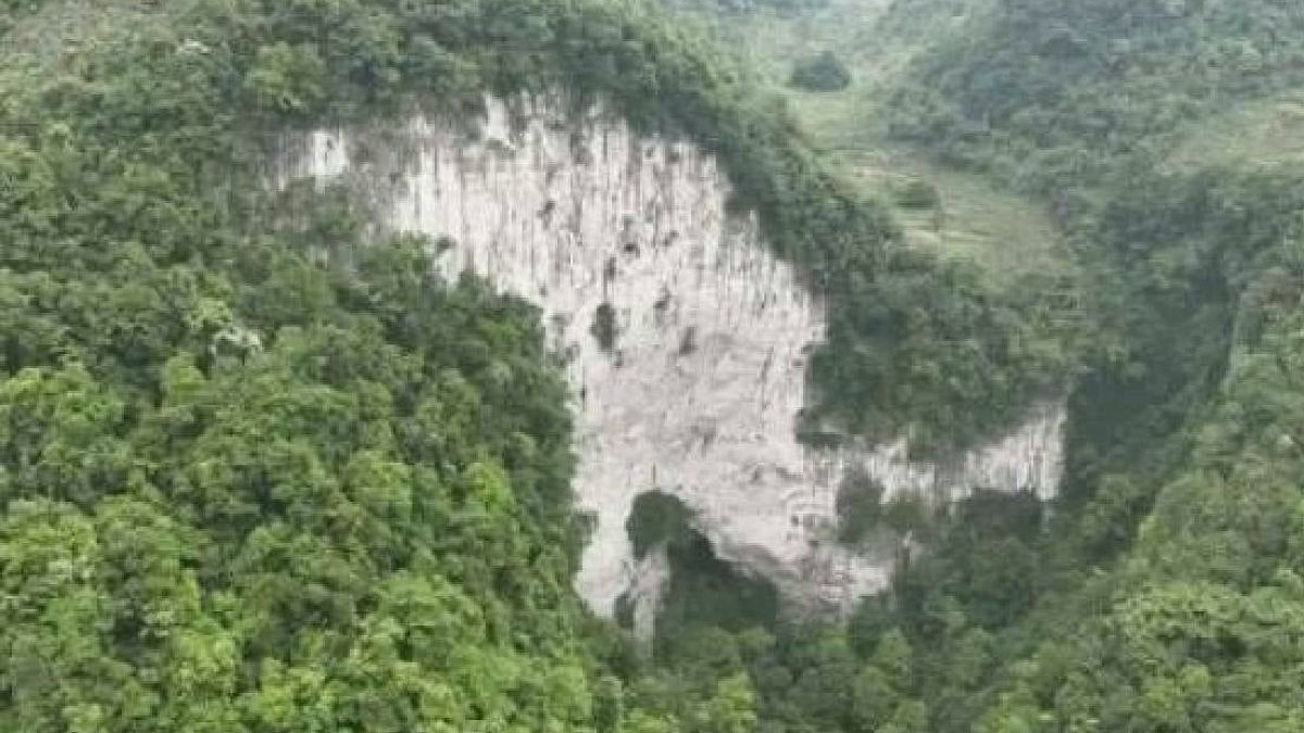 Ülke 78 milyar ağaç dikti felaketi yaşadı