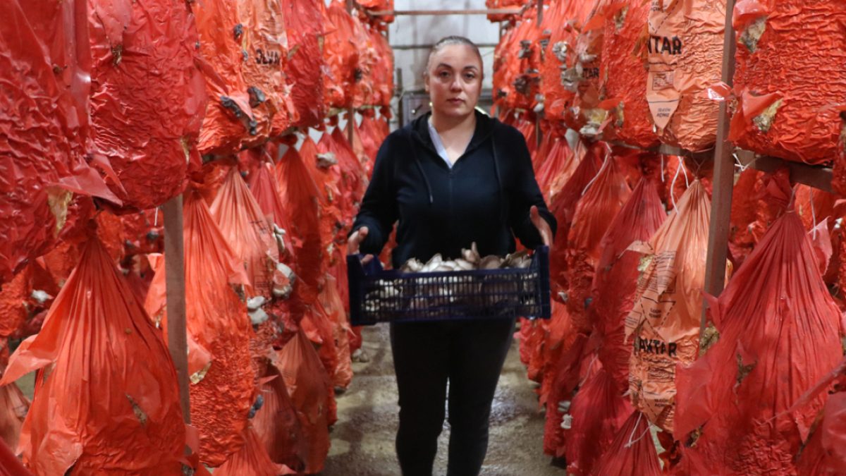 Üretimini yaptı, sadece 11 haftada köşeyi döndü