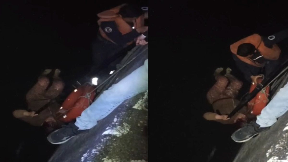 Seyhan Nehri'ne düşen kadını böyle kurtardılar