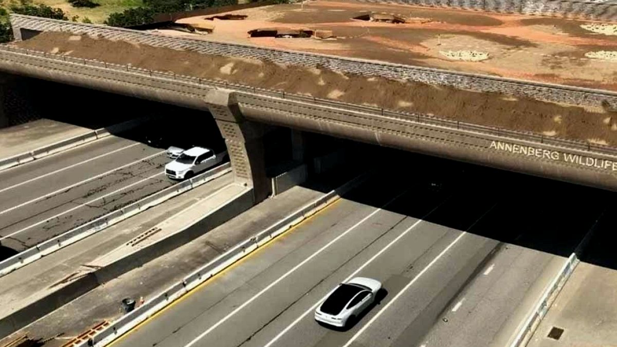 Trafiğiyle ünlü karayoluna dünyanın en büyük köprüsü yapılıyor