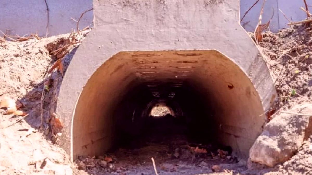 Çiftleşmeleri için 1,8 milyon liraya özel alt geçit yapıldı