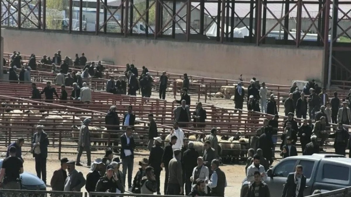 Kurban Bayramı öncesi hayvan pazarında kan aktı! 1 ölü, 13 yaralı