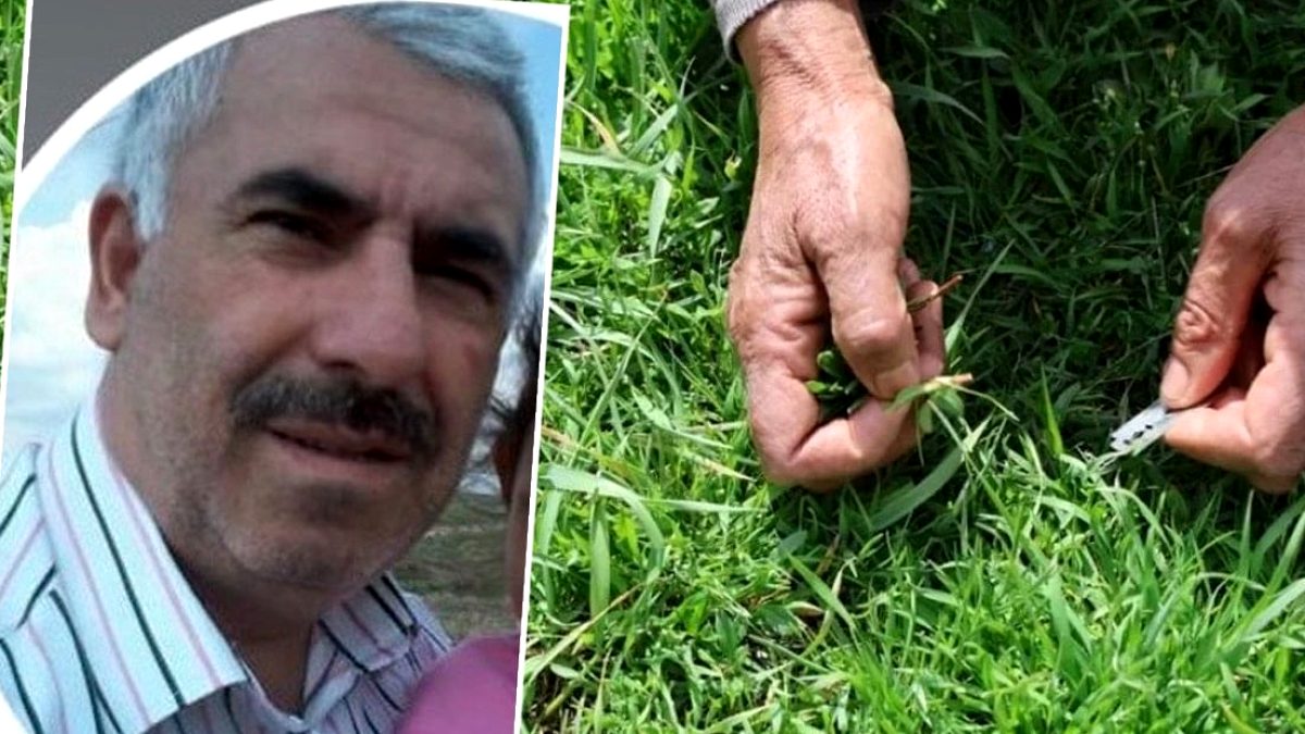 Madımak toplarken kene ısırdı: 10 gün sonra hayatını kaybetti