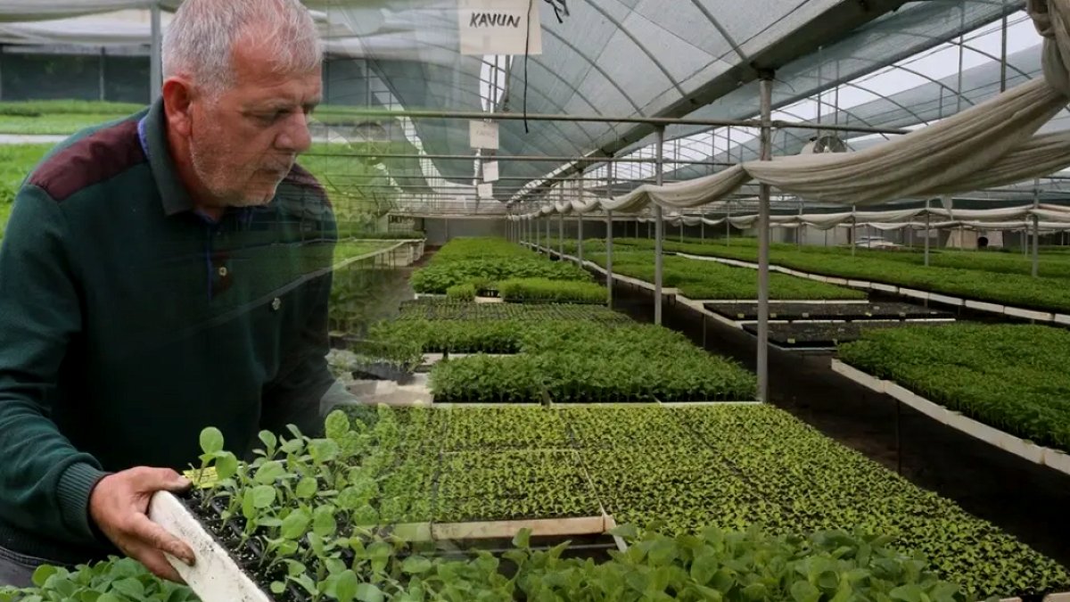 İki emekli hobi diye başladı, şimdi 1,5 milyon satıyorlar