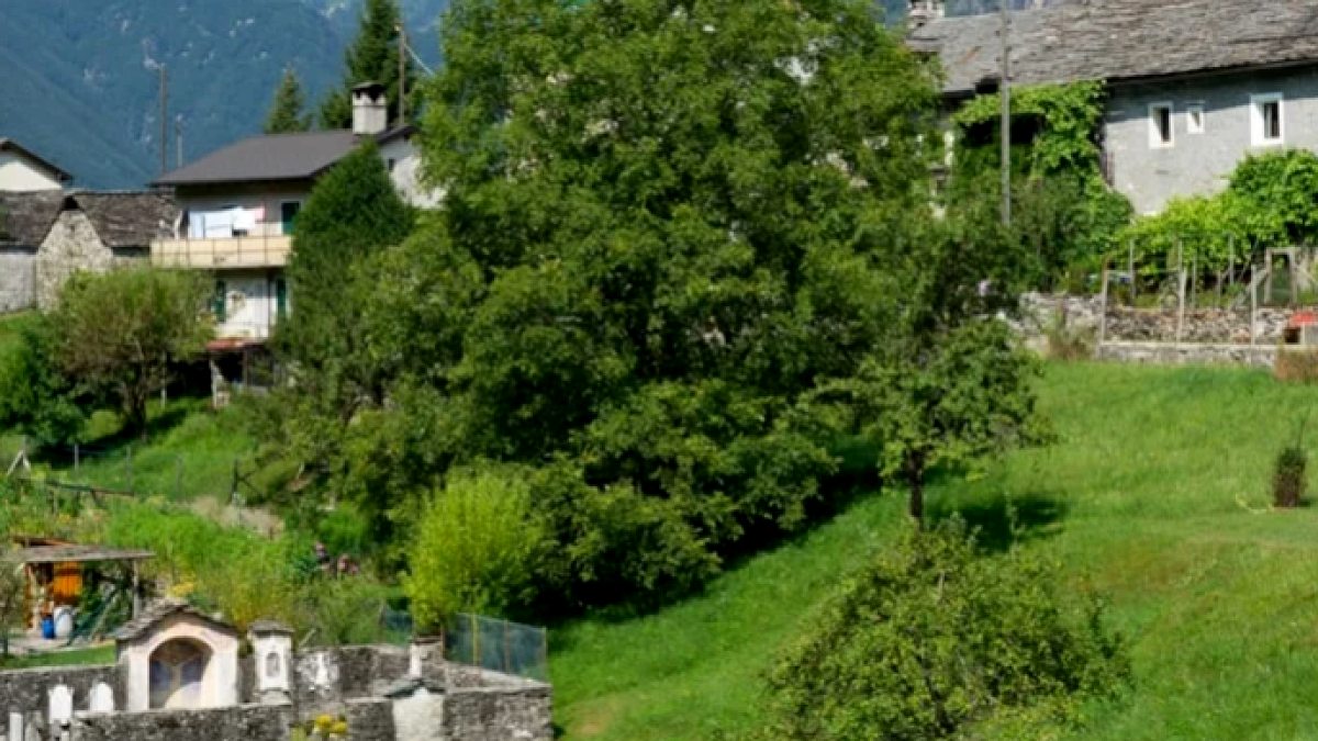 Köyüne gelenlere servet veriyorlar