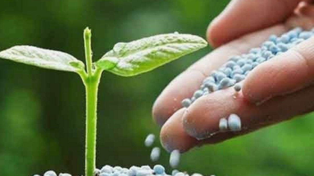 Rusya’dan gübre fiyatlarına fren: Tavan uygulaması 2026 sonuna uzatıldı