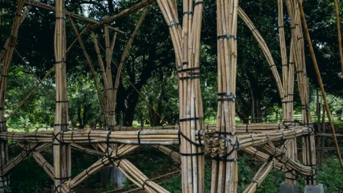 Myanmar Depremi Bambu Evleri Kurtardı: Yeni Yapı Malzemesi Umut Veriyor