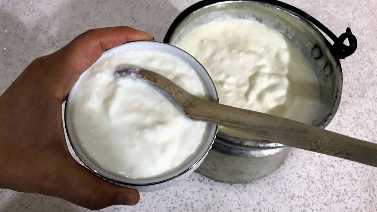 Süt Ürünleri Tüketiminde Dikkat Çeken Rekor: Ayran, Kefir ve Yoğurt Üretimi Zirveye Ulaştı