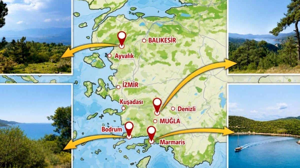 Özel Kararla Orman Alanları Satışa Açıldı: 23 İlde Ranta Yönelik Adımlar